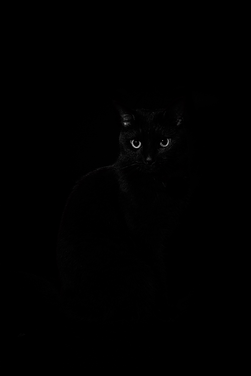 Mine