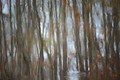 Reflections