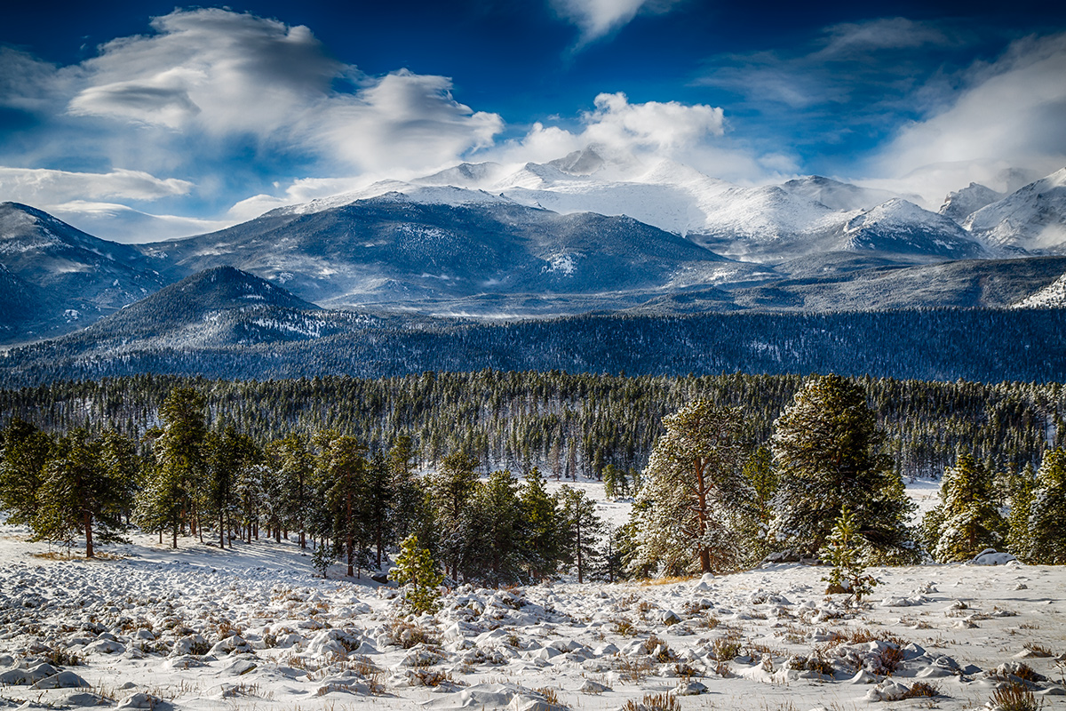 The November Snowstorm