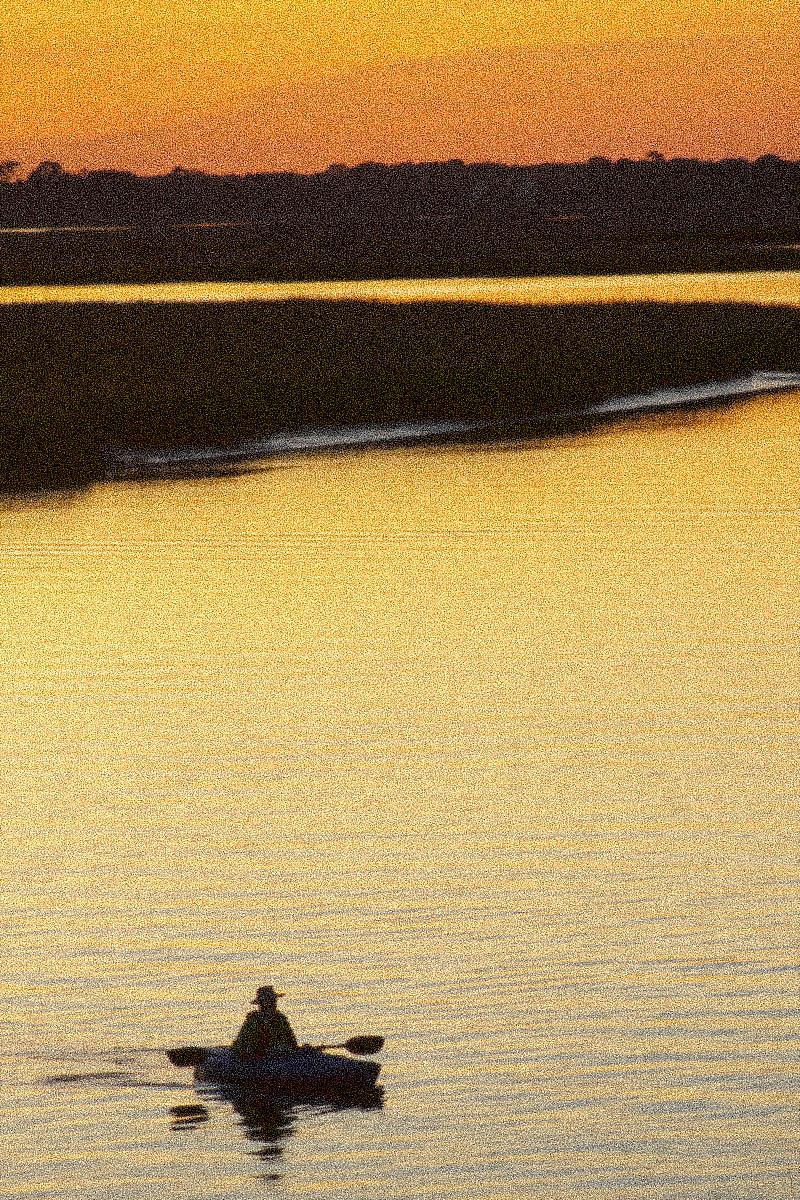 Seurat in the South