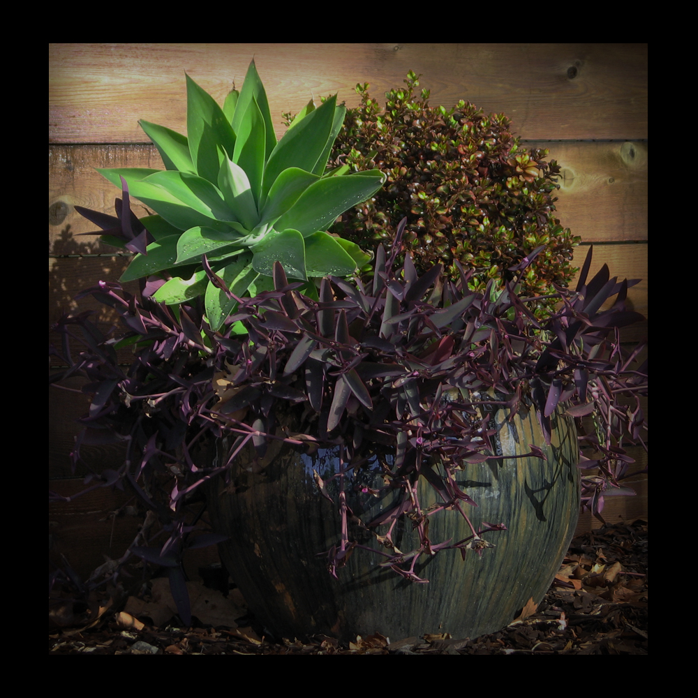 Outdoor Still-Life