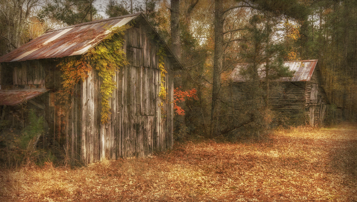 Old Tobacco Barns