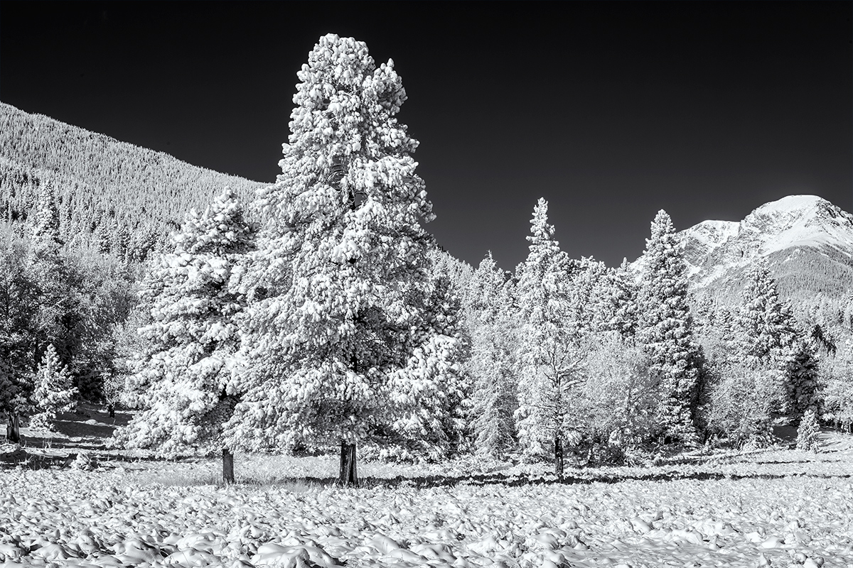 Ansel Adams mode