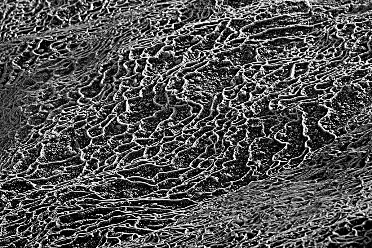 Formations