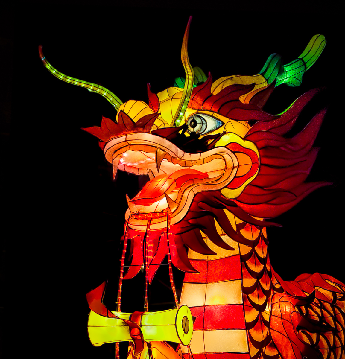 Horned Messenger