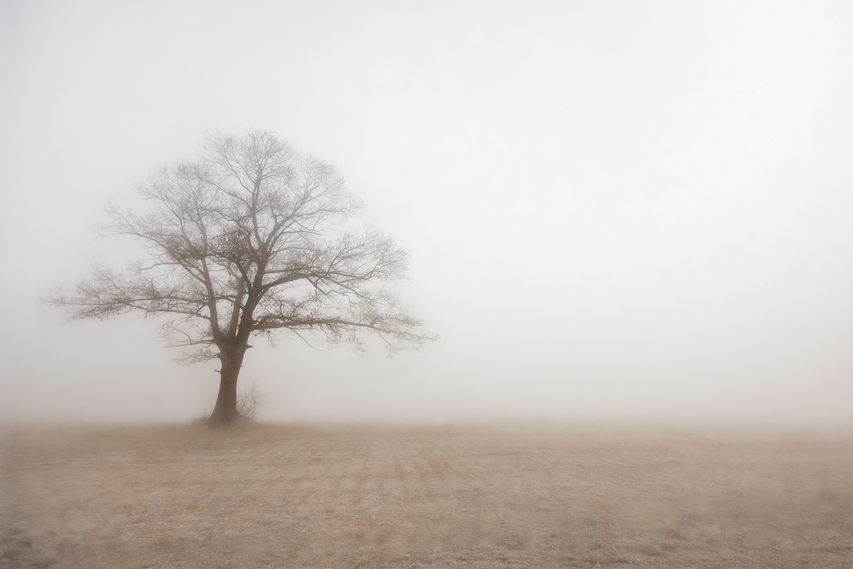 Silent Solitude