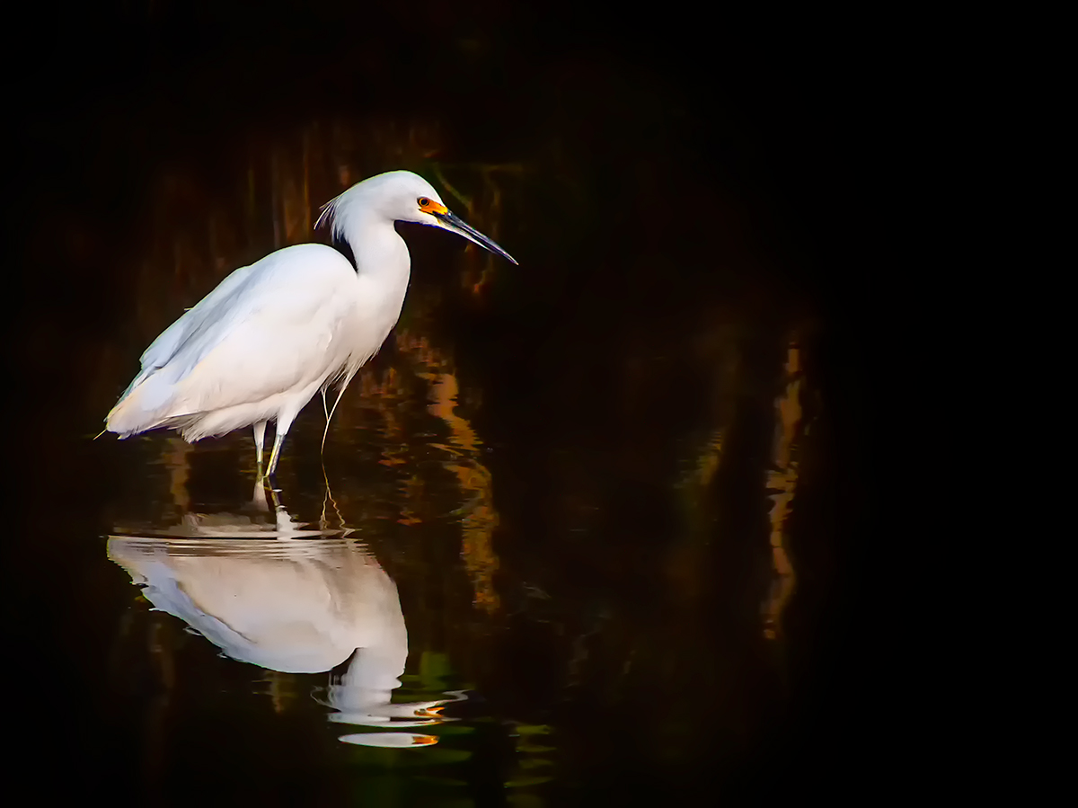 broken reflection