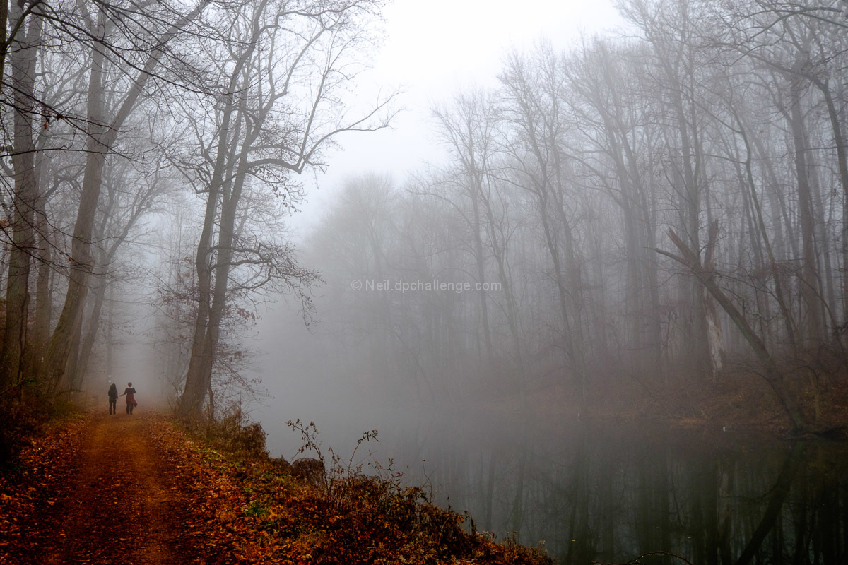 Misty Morning