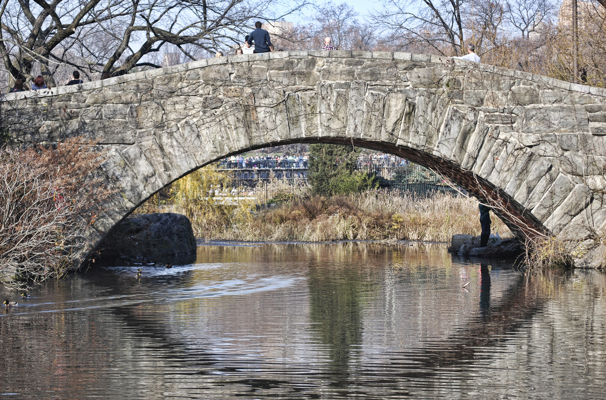 Eye on the park