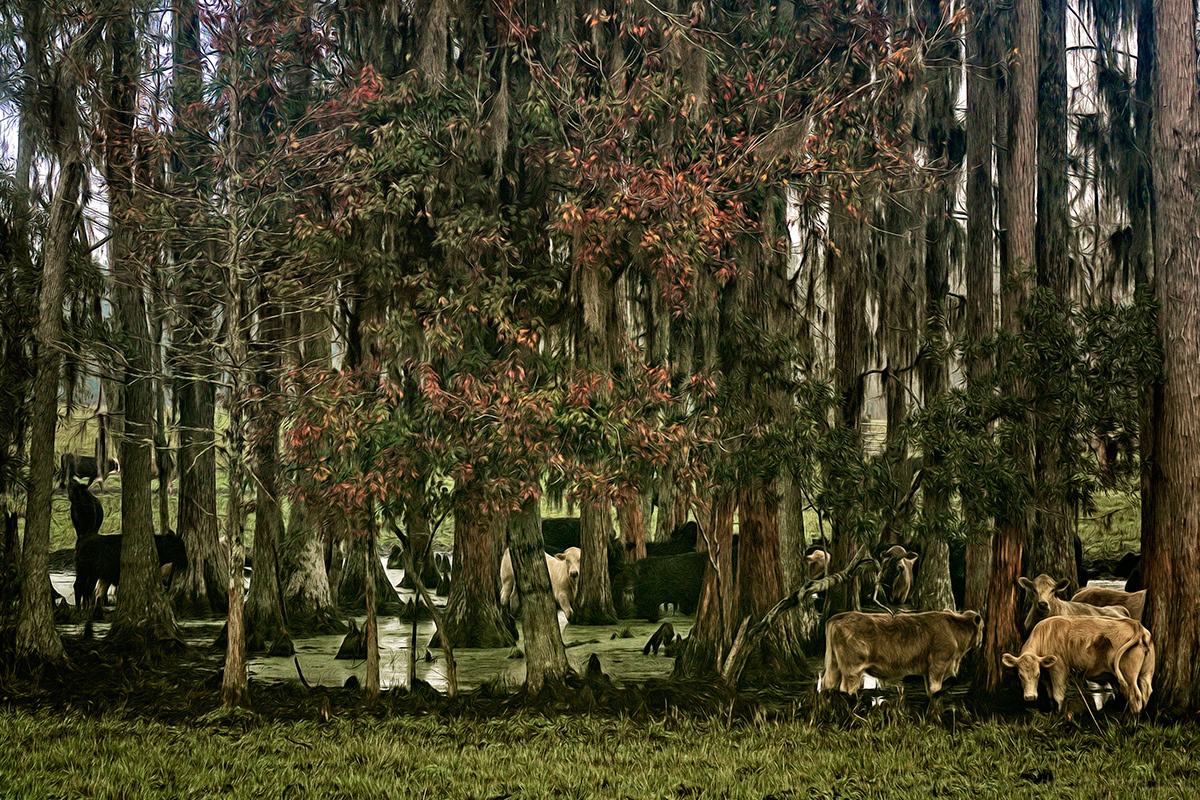 watering hole