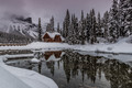 Winter's Paradise