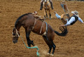 Tail End To A Bumpy Ride