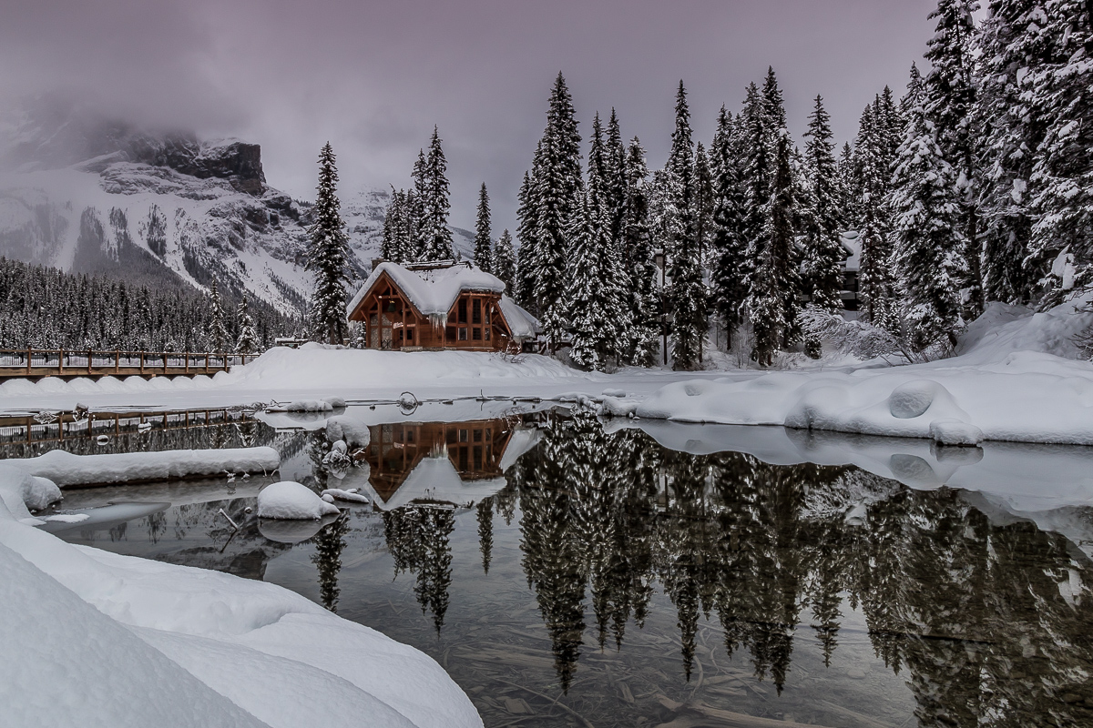 Winter's Paradise