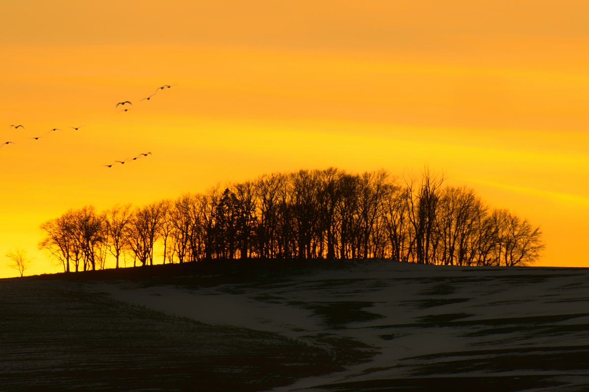 Mid-winter Sunset