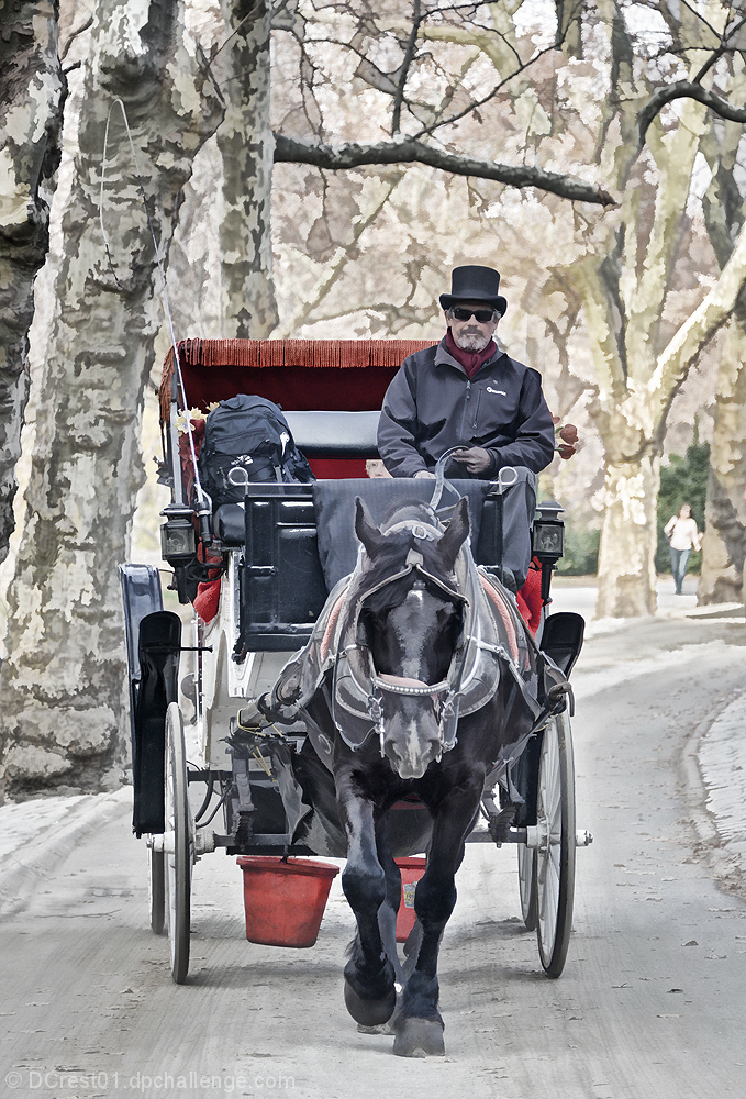 Ride in the Park