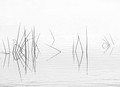 There is Beauty in Simplicity