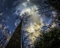 Clouds in the Evening
