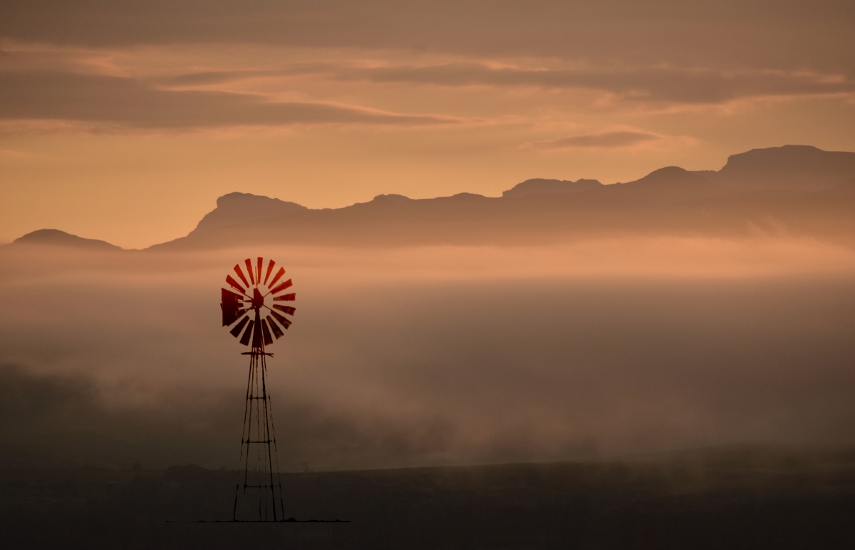 Misty morning