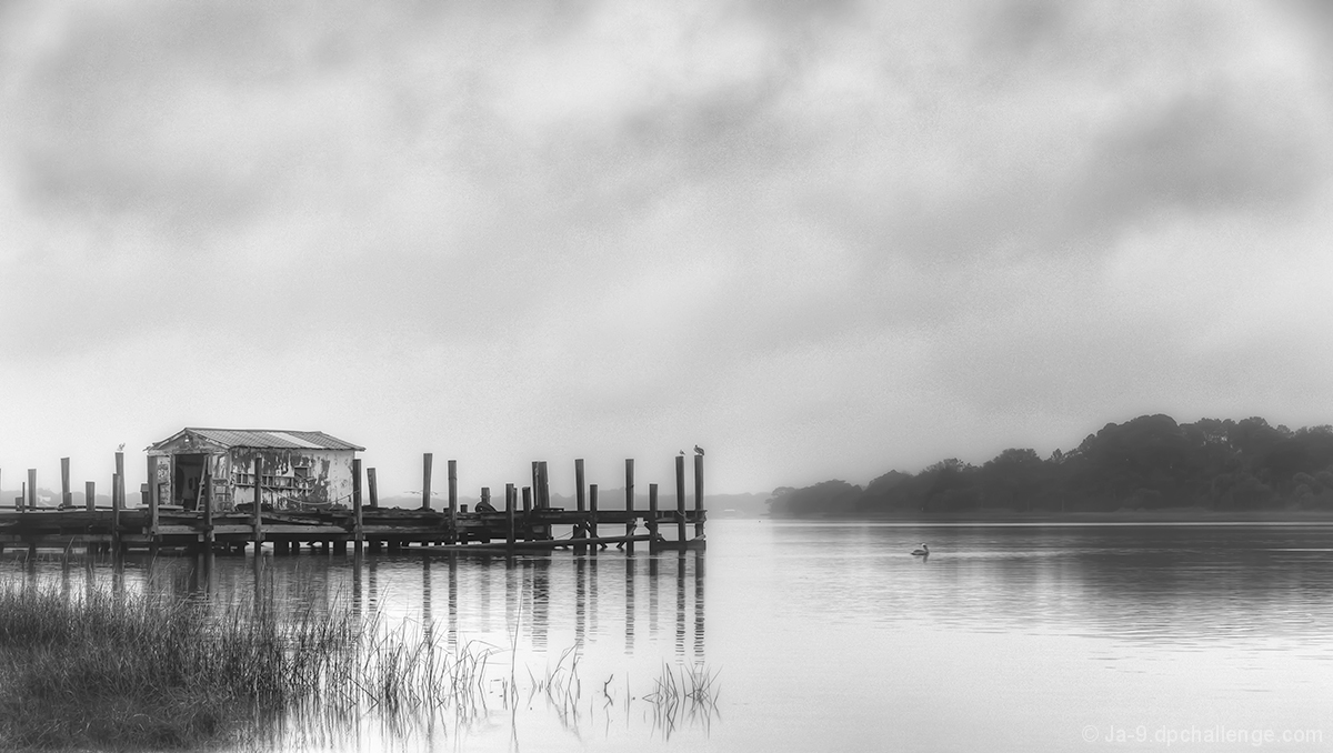 Fog is rain that whispers ~ Olivia Dresher