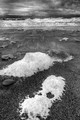 Sea Foam