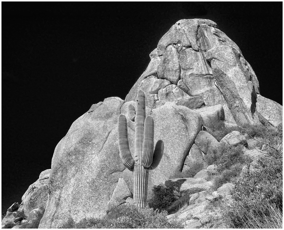 Tom's Thumb