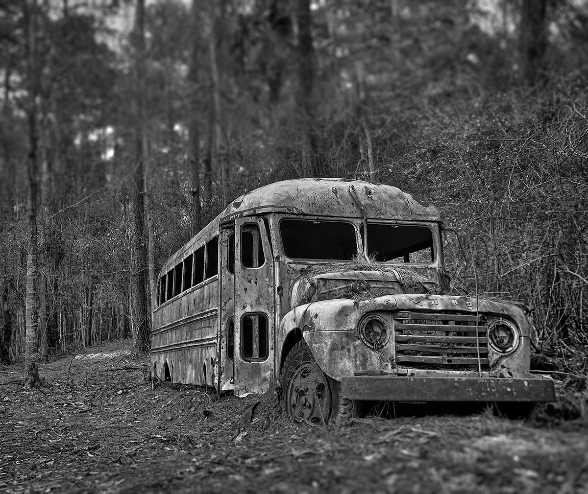 Bus in the woods