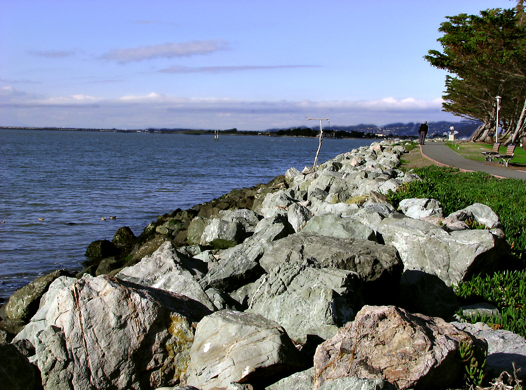 Seawall and Path