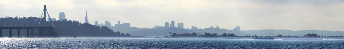 Foggy Skyline