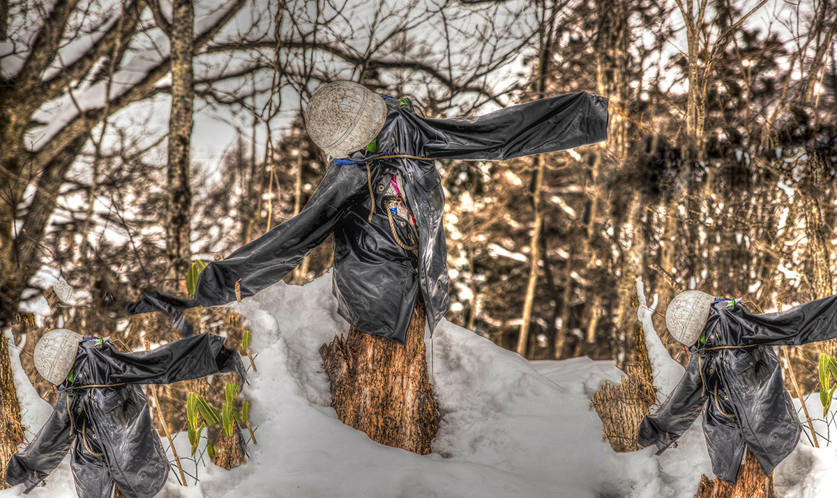 Trio of Snowboarders