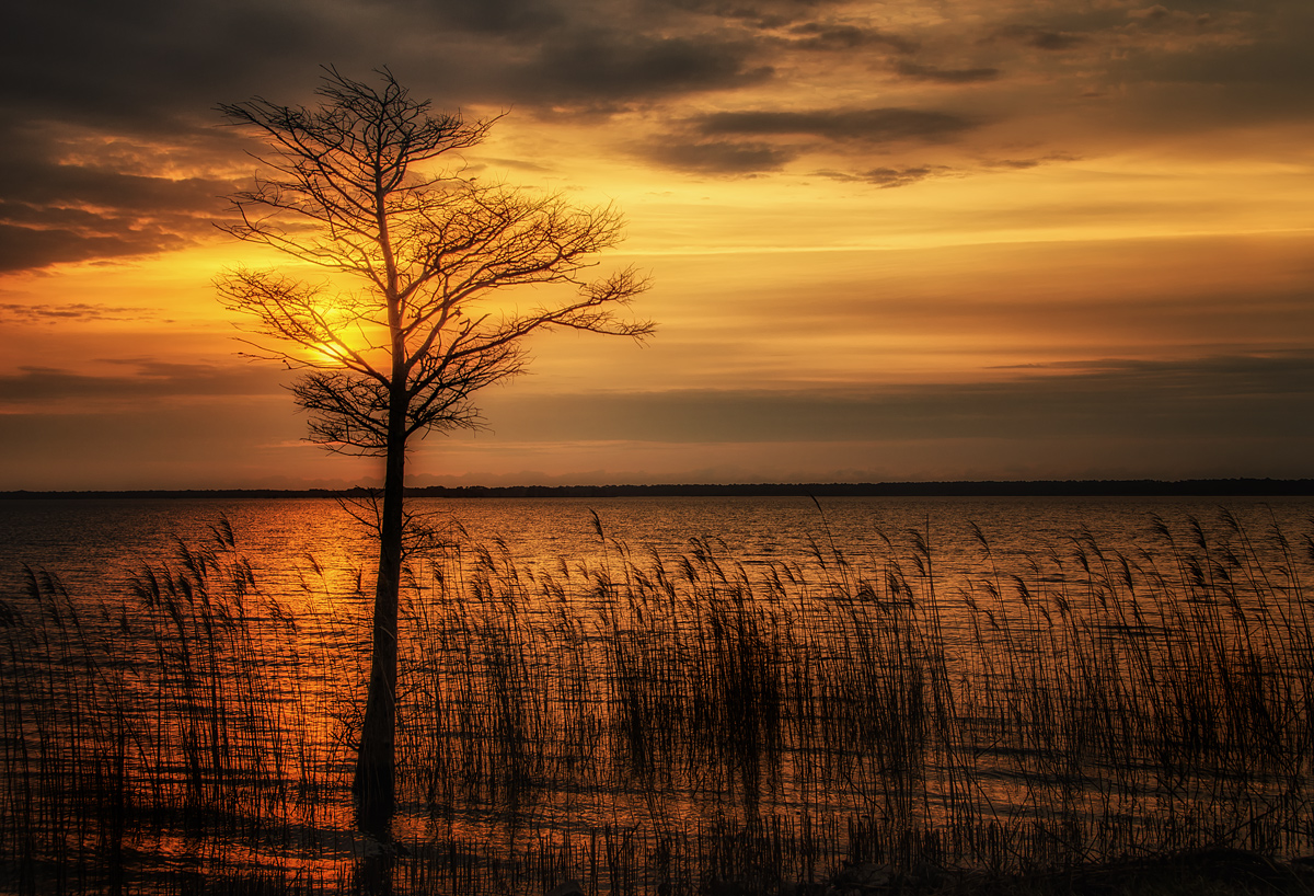 Lake Mattamuskeet