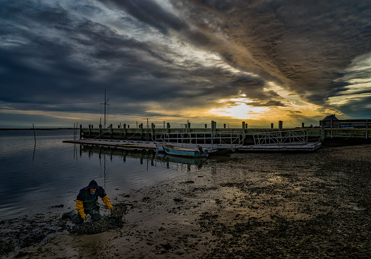 Scratching for Quahogs, Winter Evening