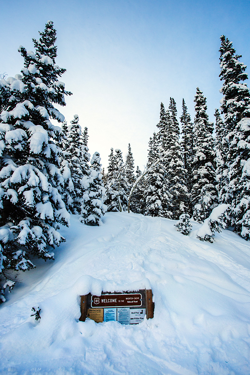 Oh, THERE is the trailhead.