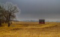 lonely shed