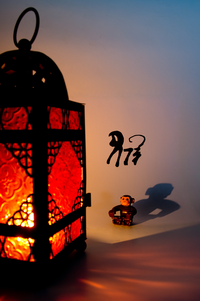 Chinese lanterns and shadows in the year of the monkey