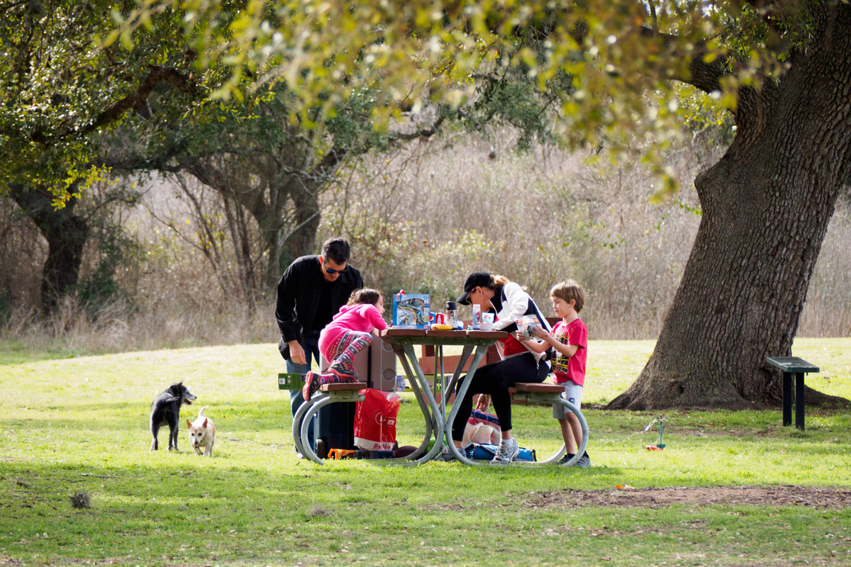 Saturday in the park