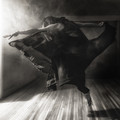rage against the dying of the light
