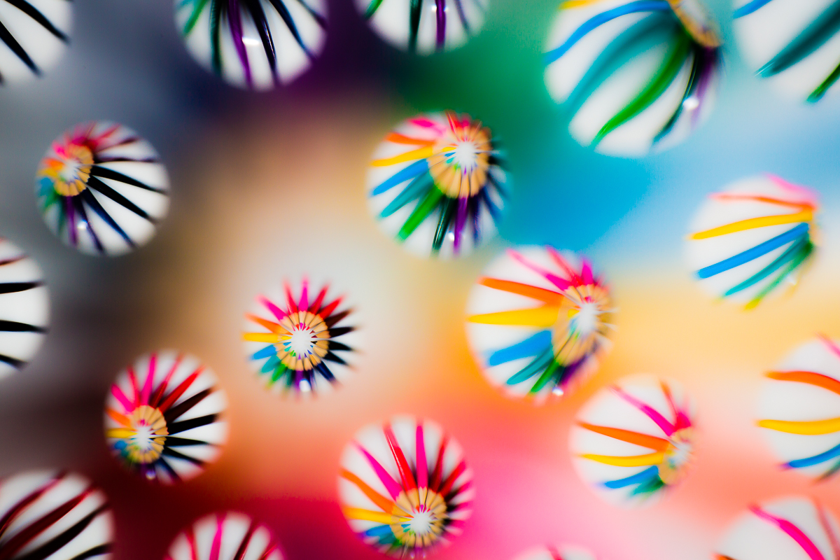 Jellyfishes