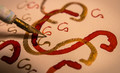 Calligraphy