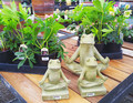 Garden (center) Zen