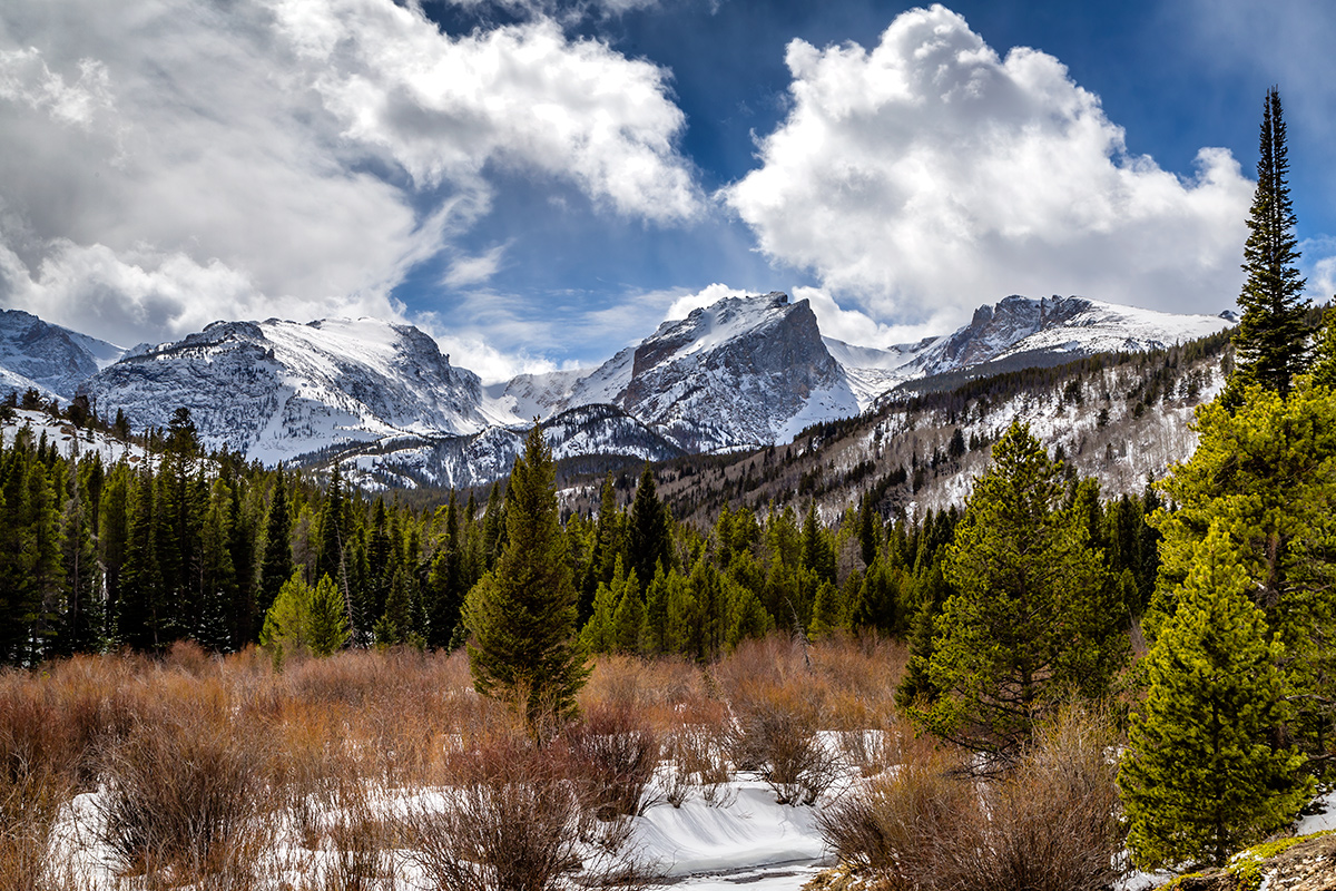 Spring at Glacier Creek