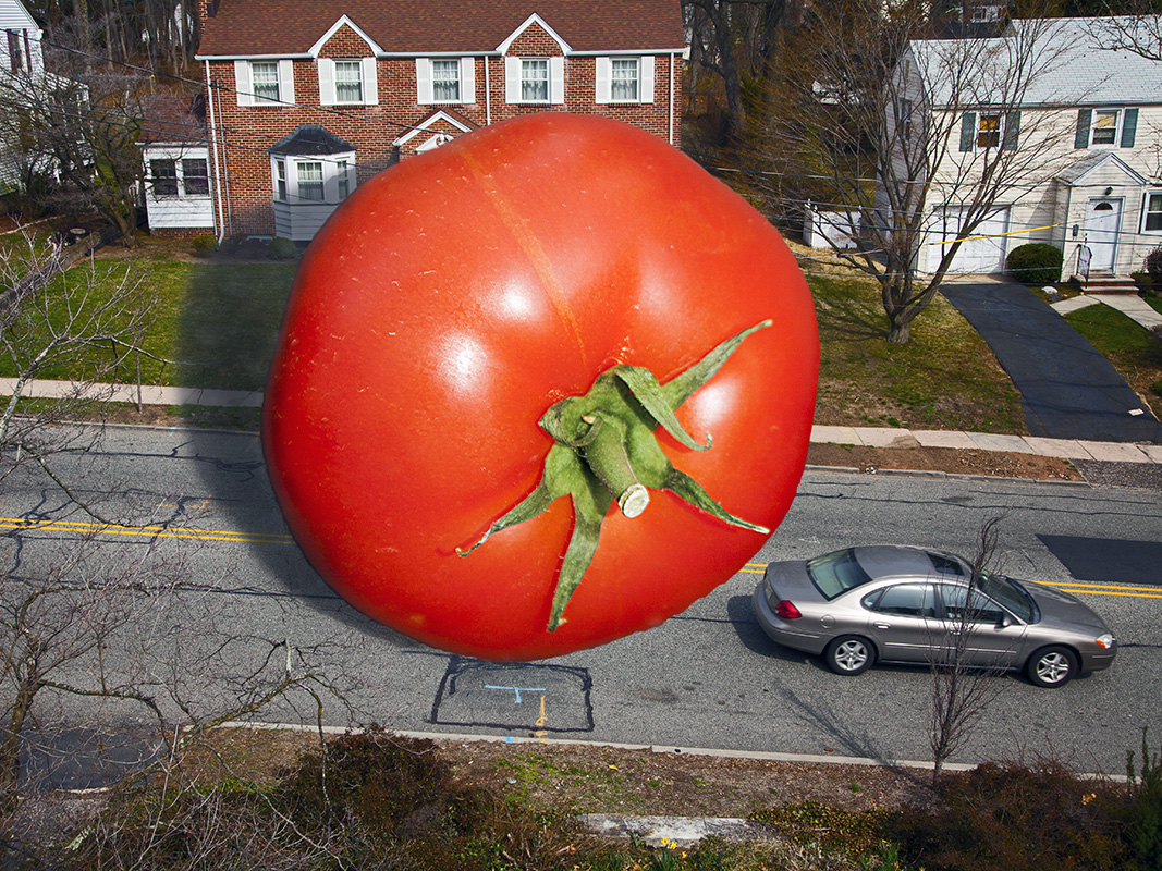 revenge of the giant killer tomato