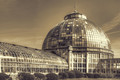 Belle Isle Conservatory -Detroit, Michigan