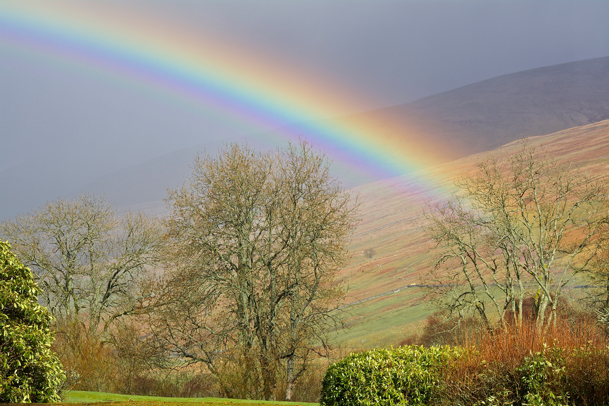 Scottish Pots of Gold