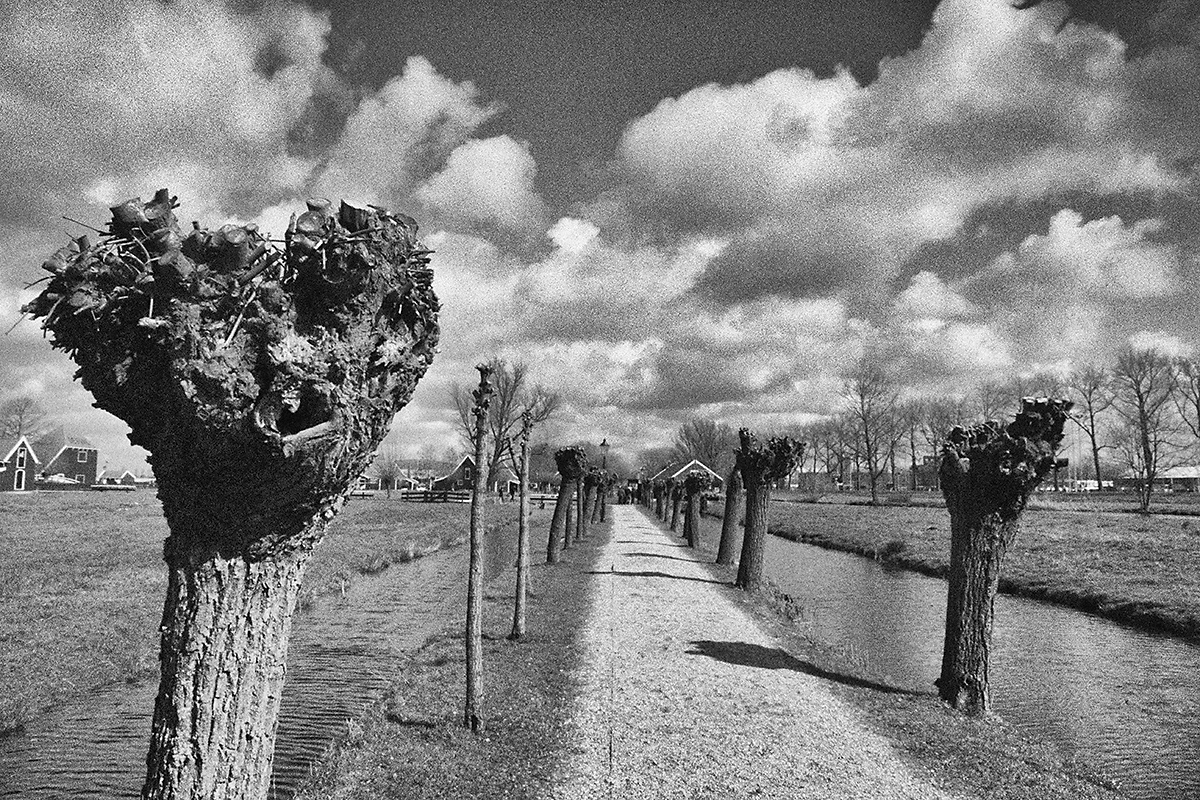 Path with sky