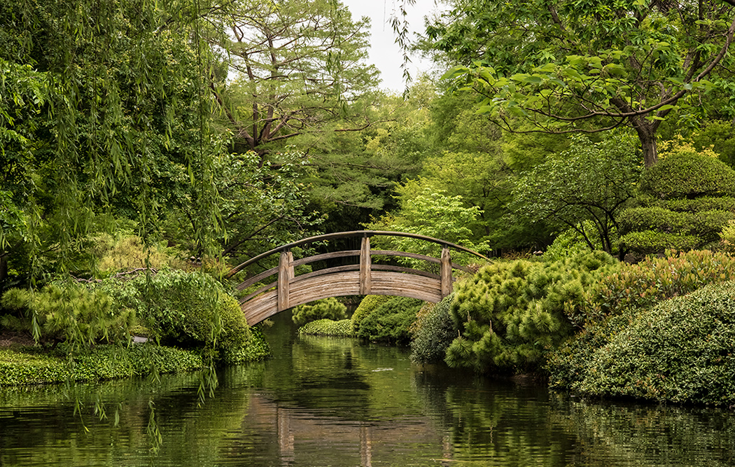 The Garden Bridge