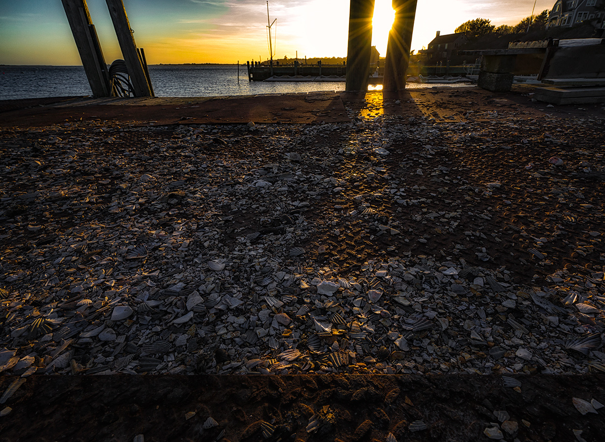 The Shellfish Dock