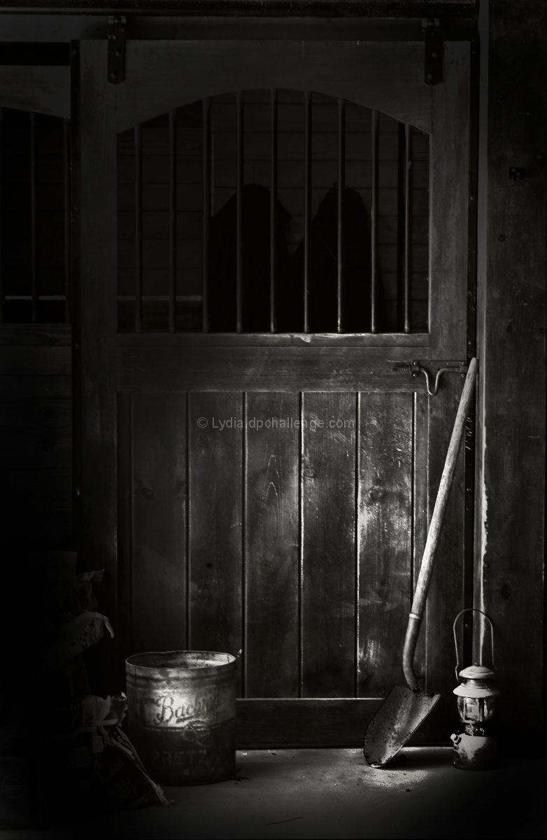Barn Life