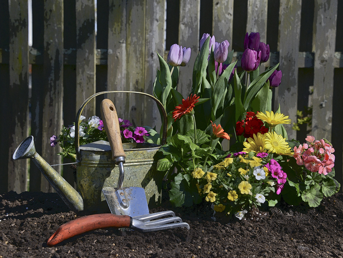 Gardening