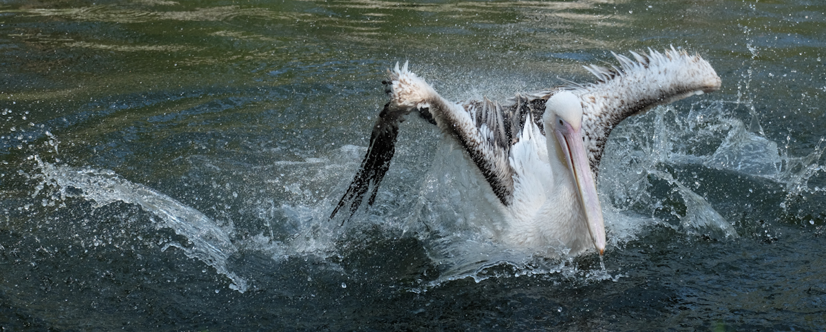 as long as there is fresh water - enjoy it 