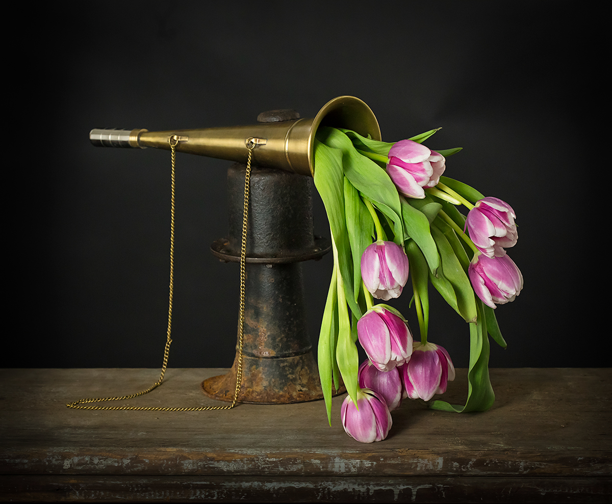 Horns-with-Tulips